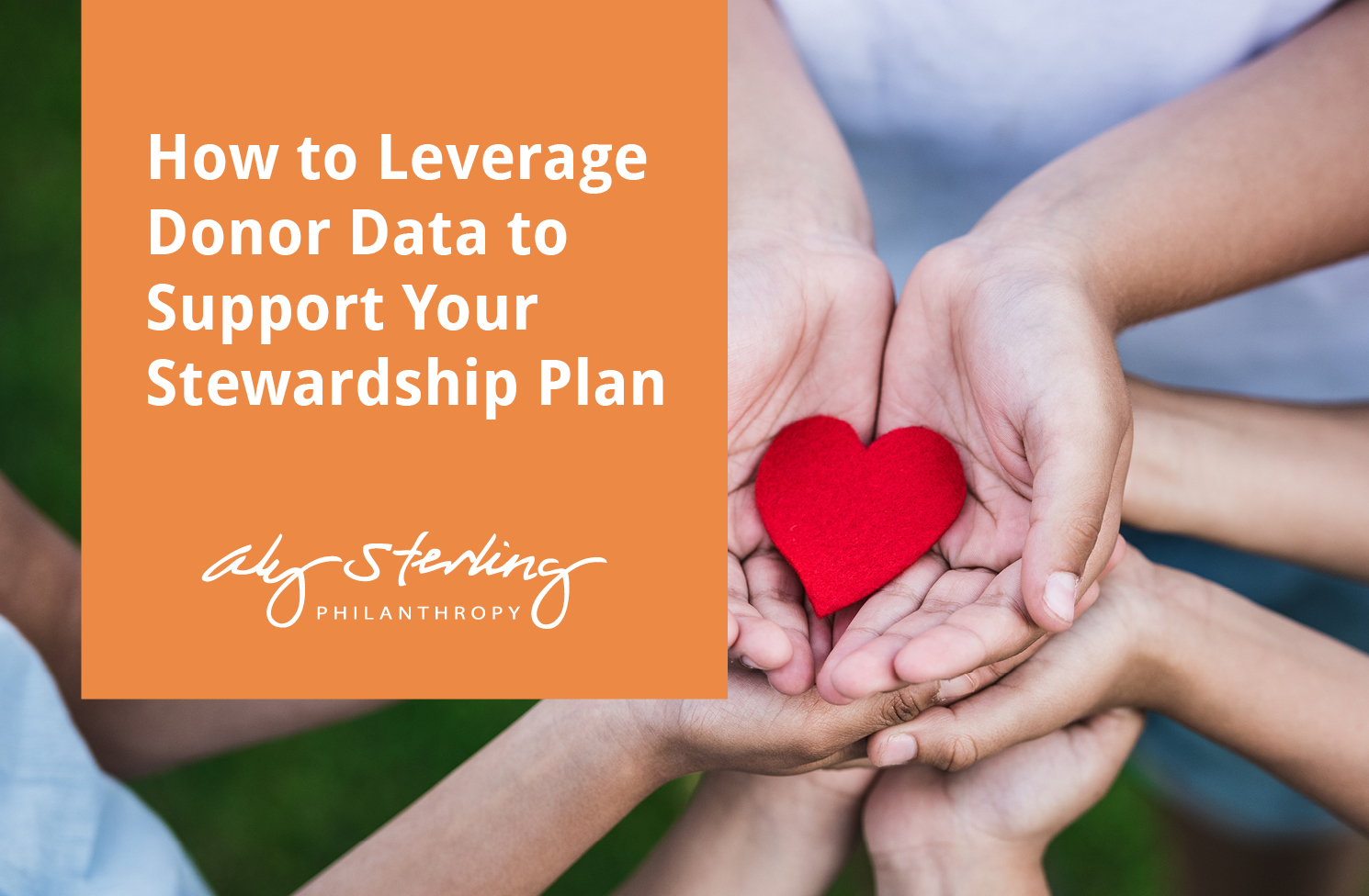 How To Leverage Donor Data To Support Your Stewardship Plan | AlumniFinder